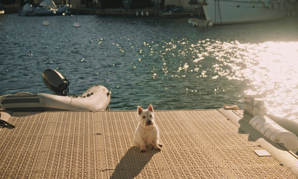 Affection Affection - &copy; Ecce Films