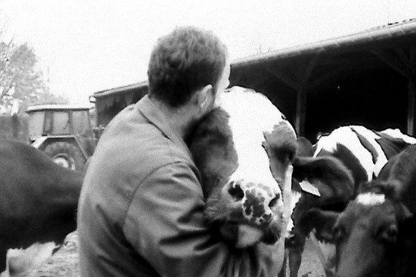 Secteur 545 Secteur 545