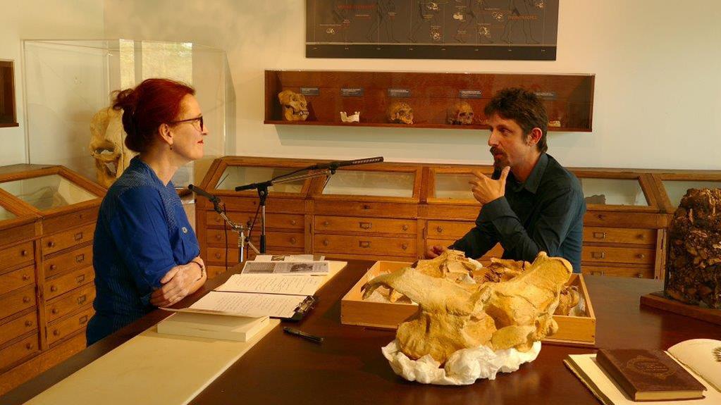 Vincent Lesbros Vincent Lesbros