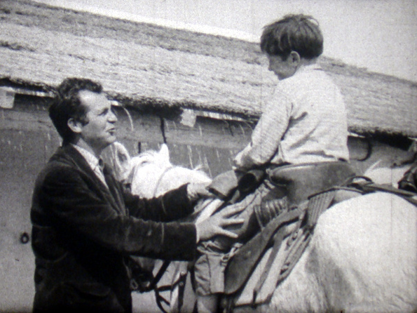 Vibre, cheval sauvage