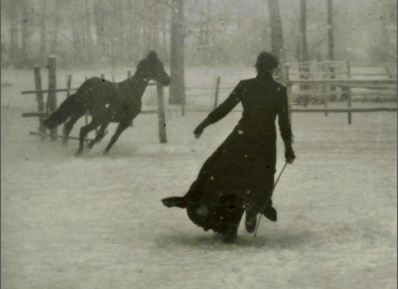 Lima Film Festival - 2020