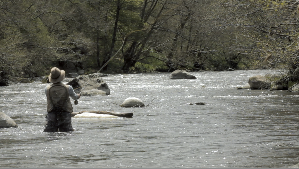 Entre chien et loup Entre chien et loup