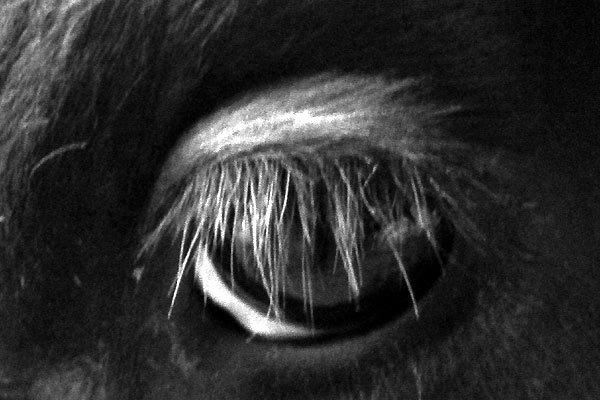 Secteur 545 Secteur 545