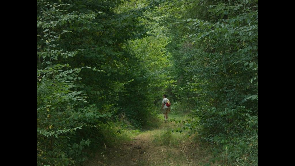 Dream Machine Dream Machine