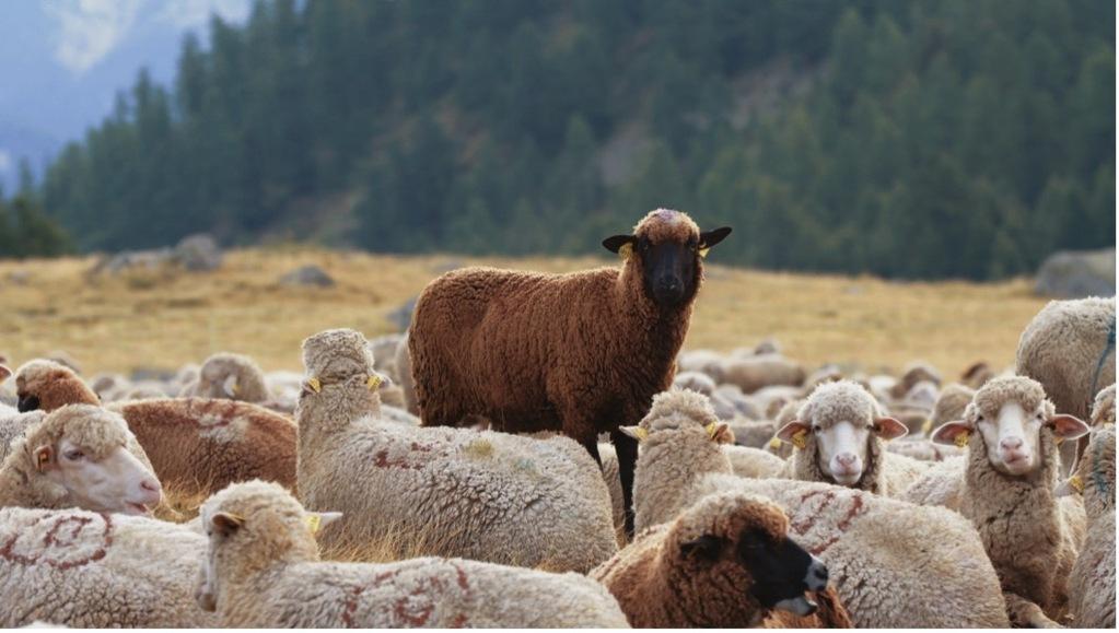 Parallèles Parallèles