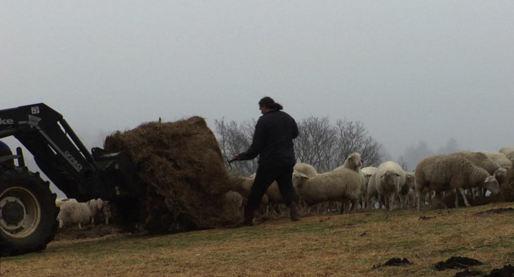Le Temps des graces Le Temps des graces