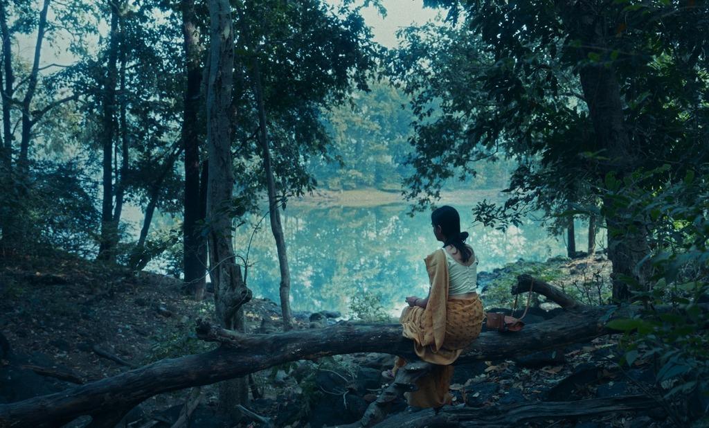 Songs the Woods Sing