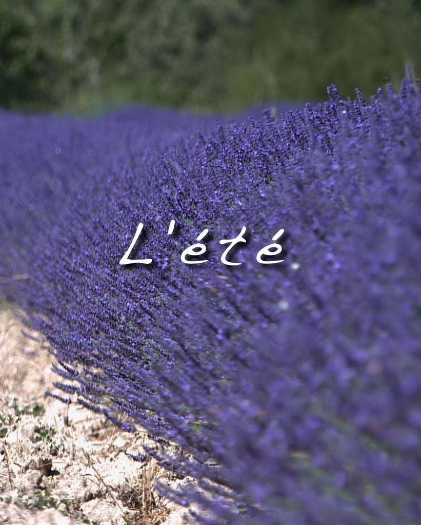 Thierry Jourdan - Les Saisons de Valdition. - &copy; En ligne sur : Les Saisons de Valdition.