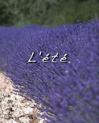 Thierry Jourdan - Les Saisons de Valdition. - &copy; En ligne sur : Les Saisons de Valdition.