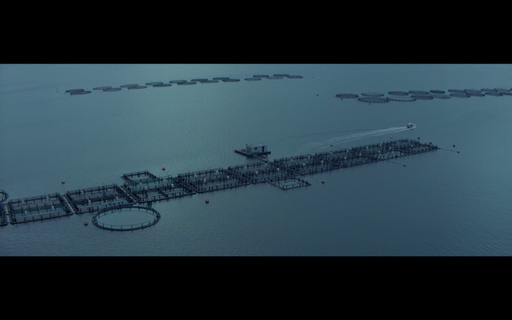 The Silence of the Dying Fish (Le Silence des poissons mourants) The Silence of the Dying Fish (Le Silence des poissons mourants)