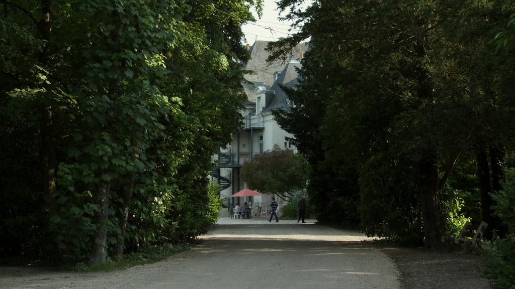 Le Sous Bois Des Insensés Dvd Le Sous-Bois des insensés de Martine Deyres (2015) - UniFrance