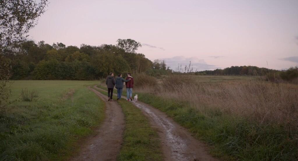 Dog in the Tree Dog in the Tree