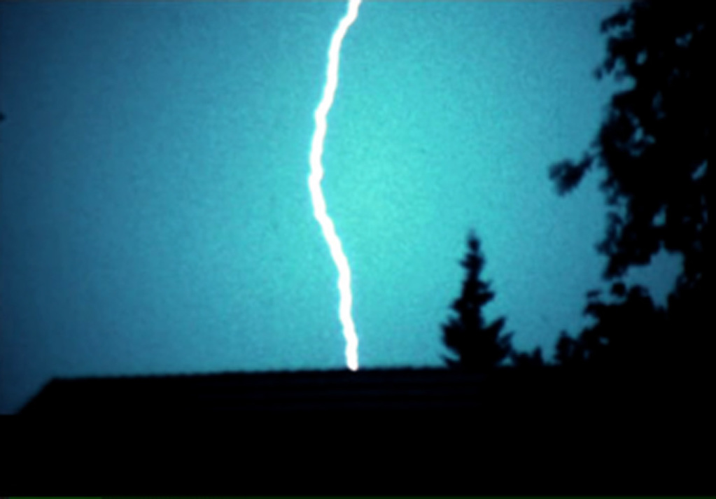 Festival du film de Tampere - 2001