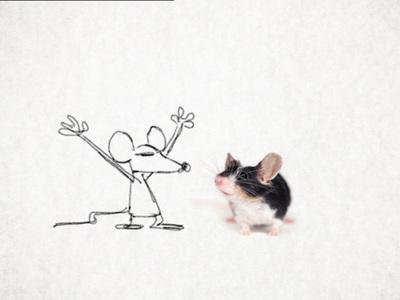 A Tale About The Animated Image A Tale About The Animated Image
