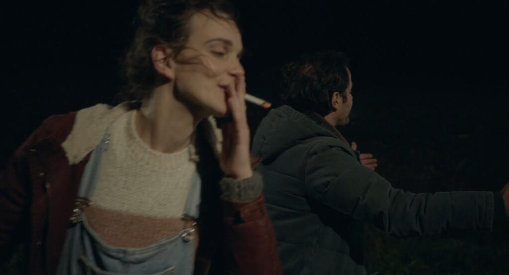 Dog in the Tree Dog in the Tree