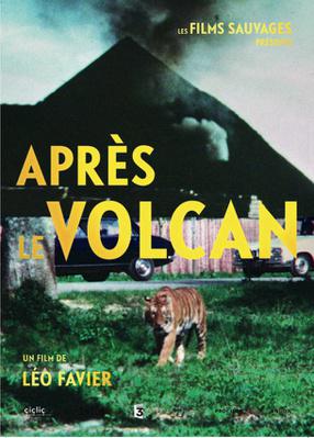 After the Volcano After the Volcano