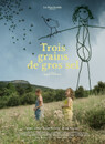 Trois grains de gros sel Trois grains de gros sel