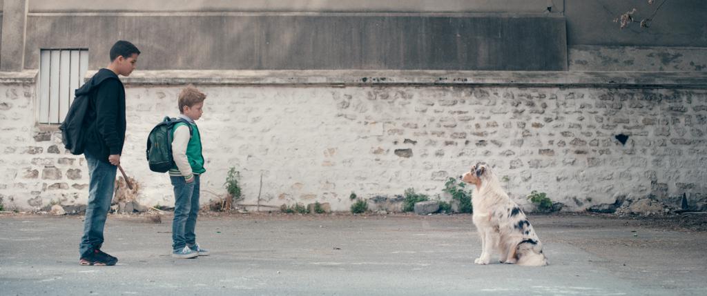 Festival Internacional de Cortometrajes de Estambul - 2015 Festival Internacional de Cortometrajes de Estambul - 2015