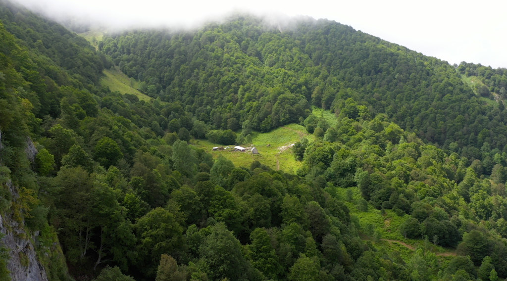 La Réponse des bergers La Réponse des bergers