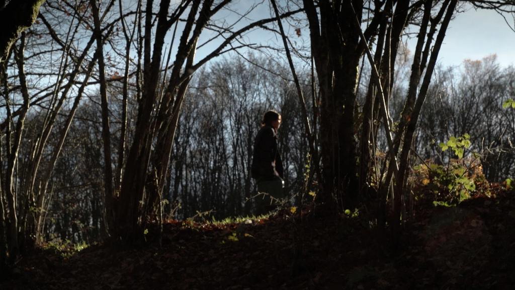 La Terre du milieu La Terre du milieu