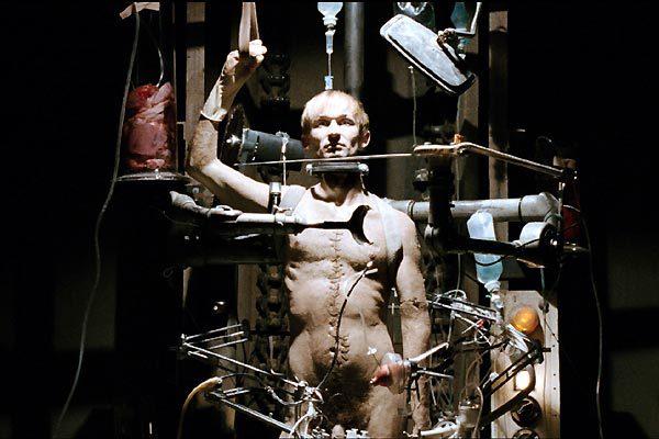 Taxidermia Taxidermia