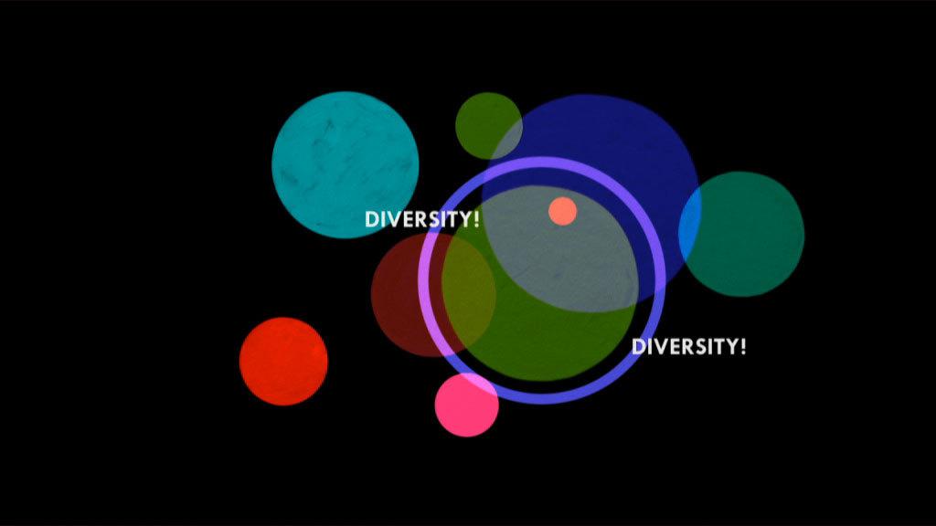 Diversité culturelle Diversité culturelle