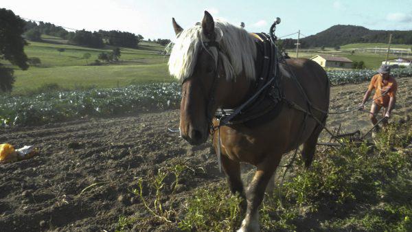 Un village dans le vent Un village dans le vent