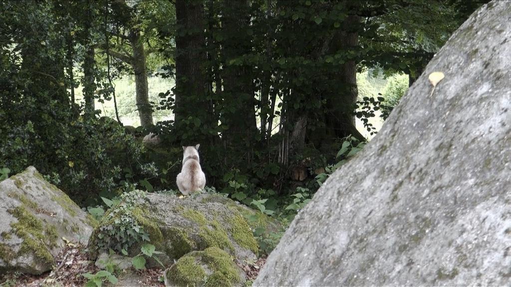 Thibault Duteil - &copy; Alain Cavalier