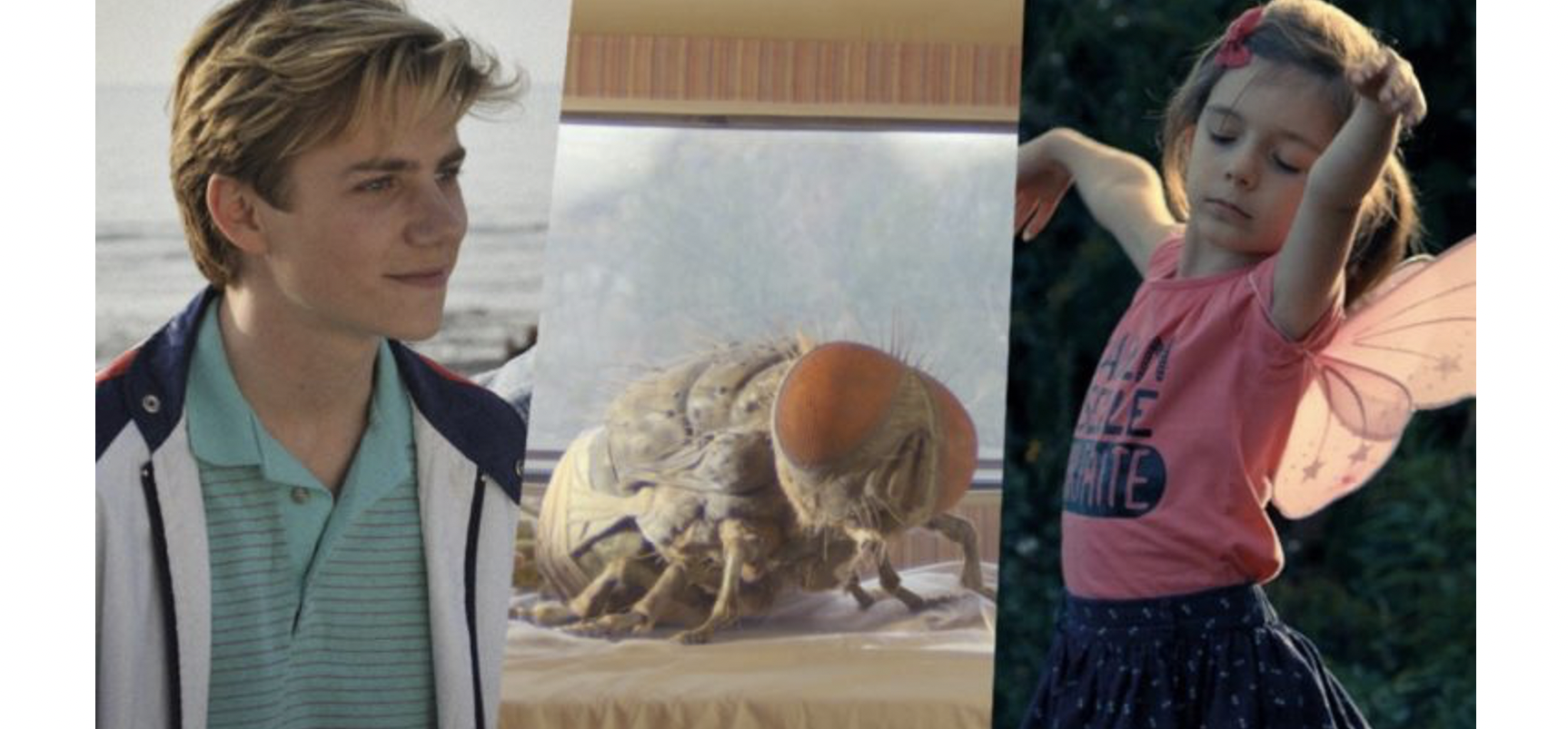 All the films presented at the 26th Rendez Vous with French Cinema in New York All the films presented at the 26th Rendez Vous with French Cinema in New York