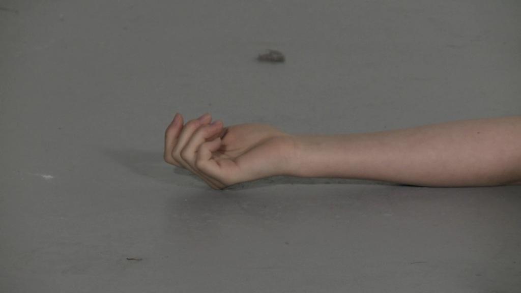 A Room With a View A Room With a View