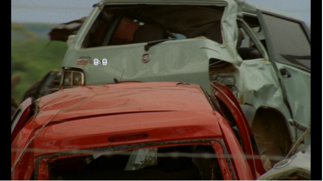 There is Land! There is Land!