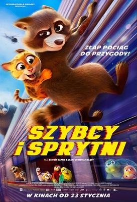 Falcon Express - Poland