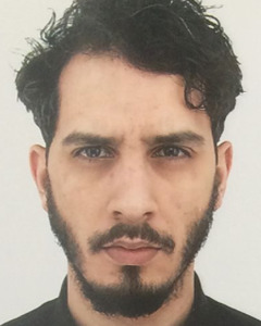 Mohamed Megdoul Mohamed Megdoul