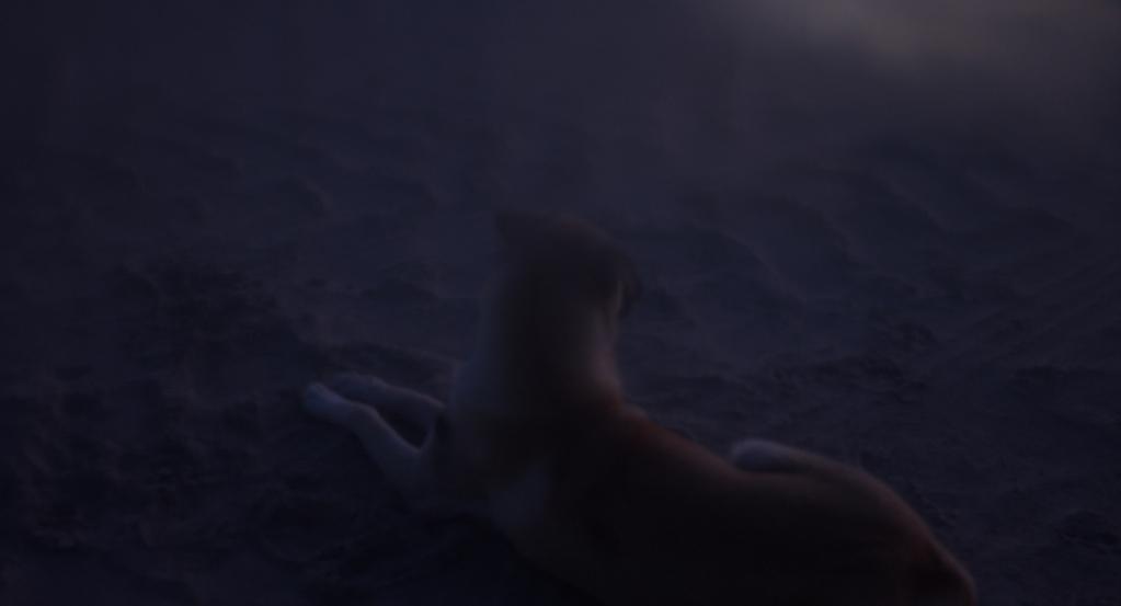 Paralelo 28 Paralelo 28