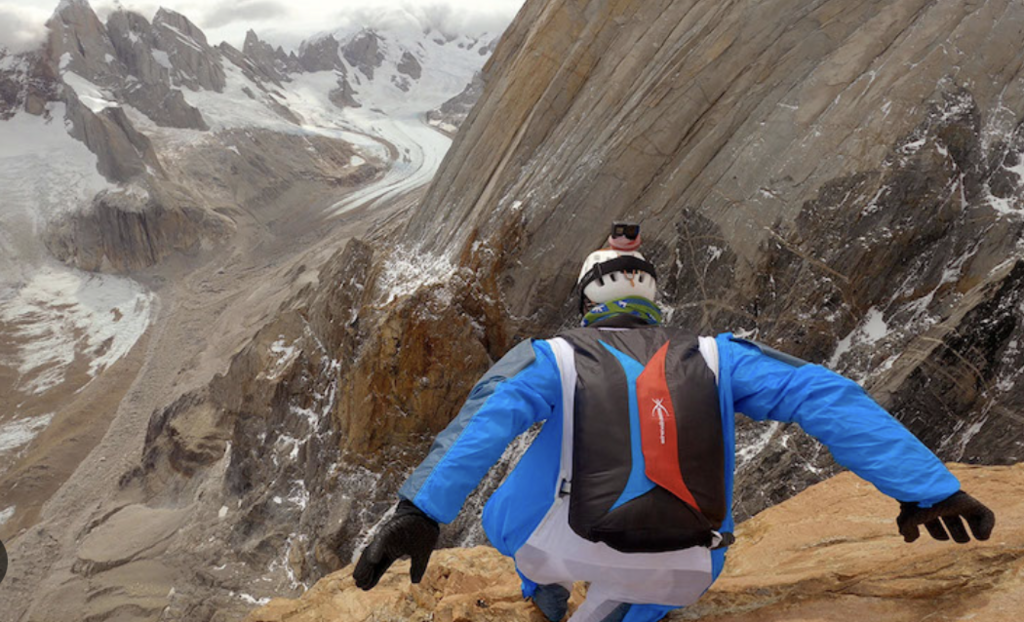 Patagonia Wings Patagonia Wings