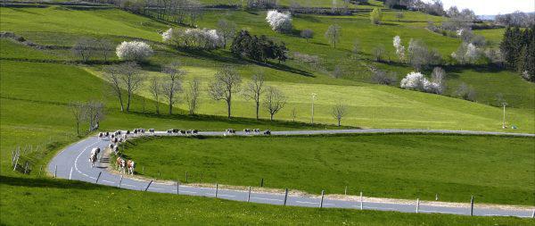 Un village dans le vent Un village dans le vent