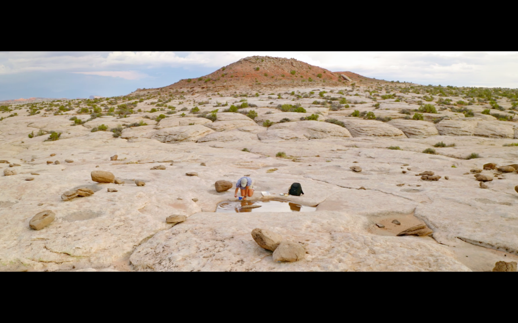 Top of the Rocks Top of the Rocks