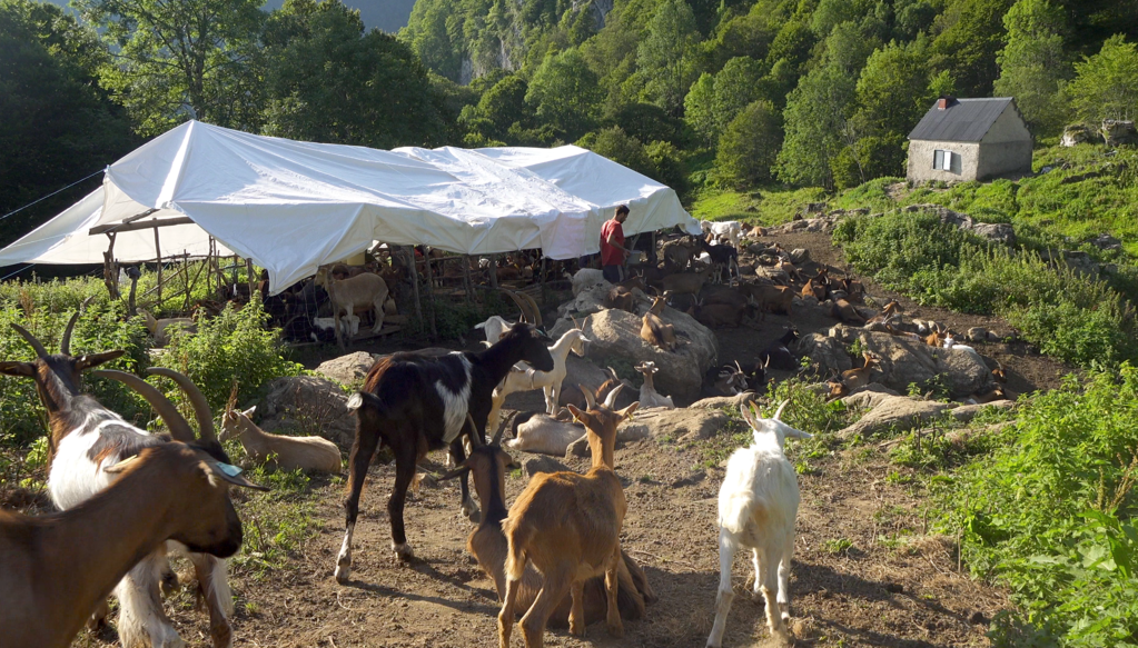 La Réponse des bergers La Réponse des bergers