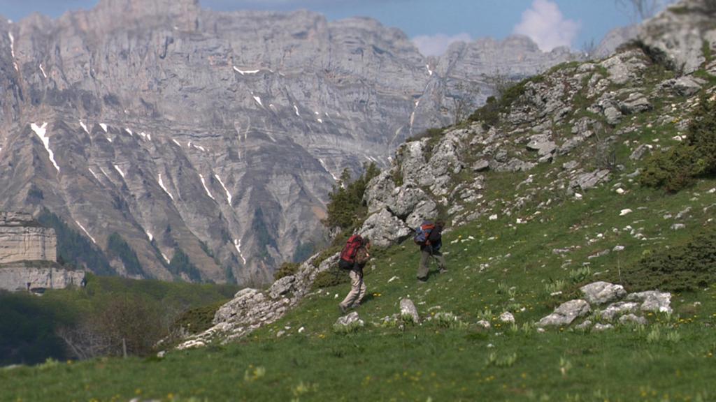 Jean-Fran&ccedil;ois Morin