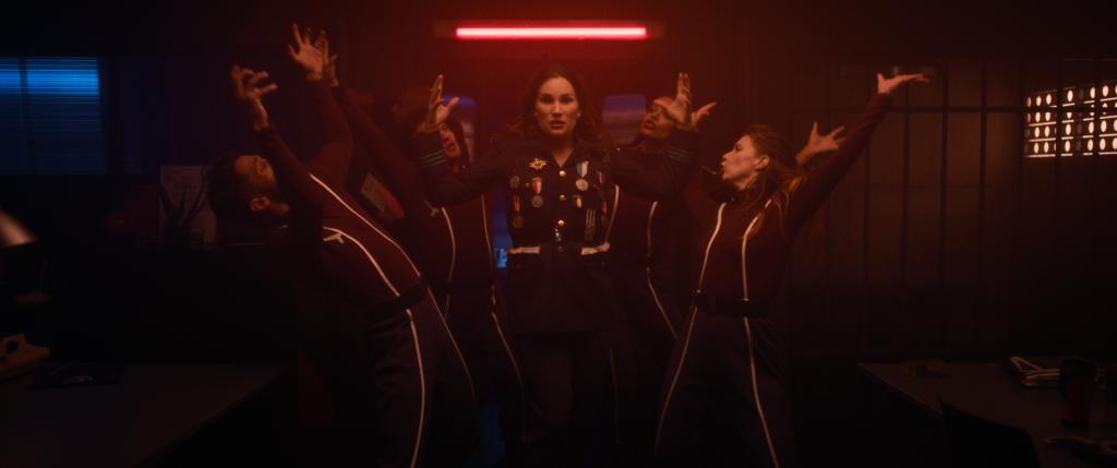 Rose, tulipe et pétunia Rose, tulipe et pétunia