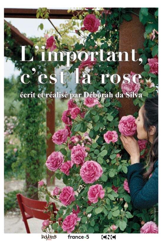 L'important c'est la rose - © Ladybirds Films L'important c'est la rose - © Ladybirds Films