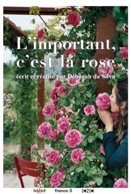 L'important c'est la rose - © Ladybirds Films L'important c'est la rose - © Ladybirds Films
