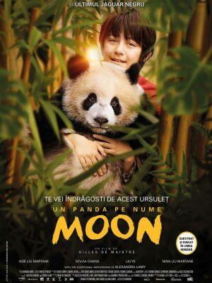 Moon le panda - Romania Moon le panda - Romania