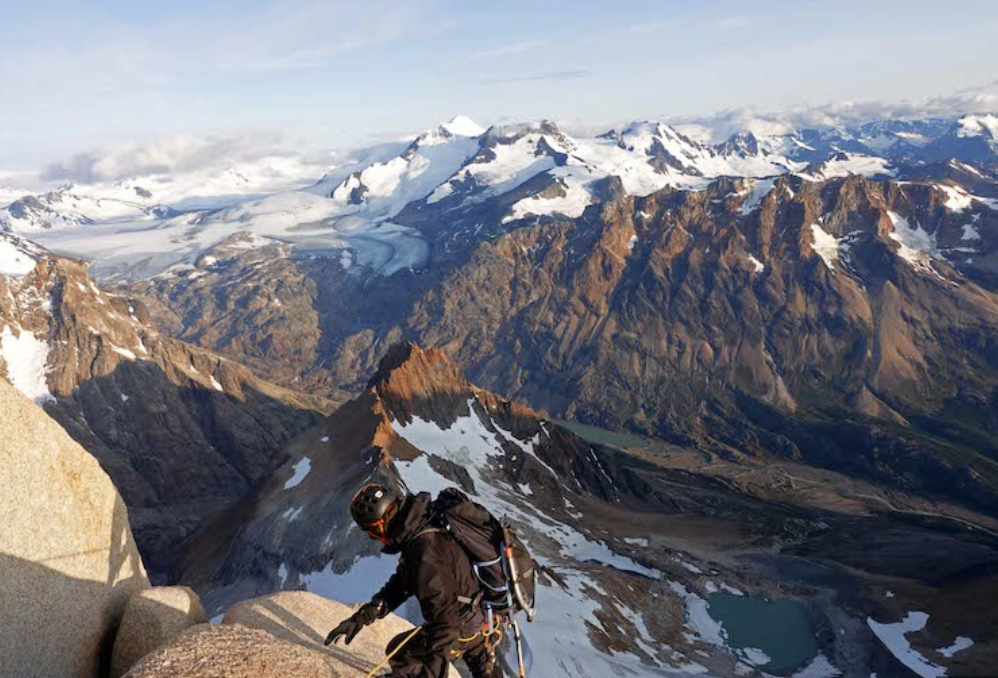 Patagonia Wings Patagonia Wings