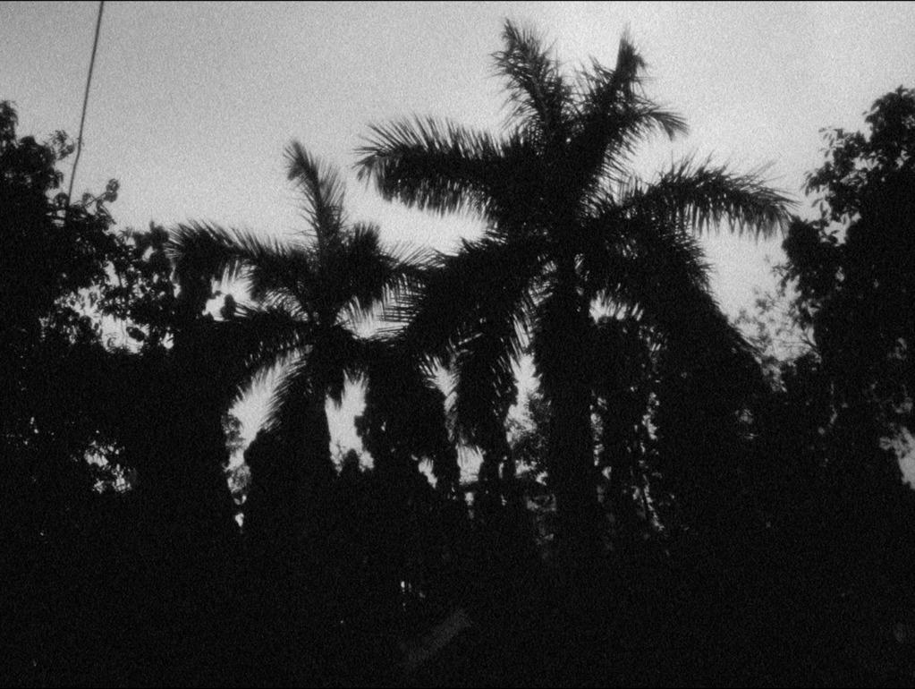 Toute une nuit sans savoir - © Kapadia Toute une nuit sans savoir - © Kapadia