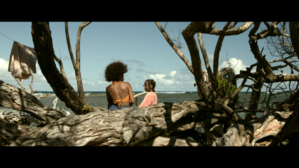 Festival du film de Chelsea - 2014