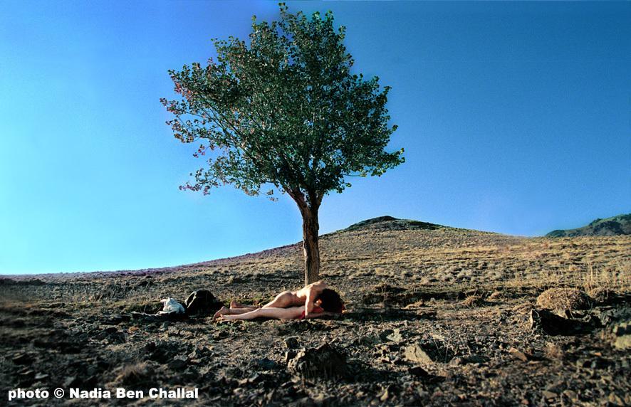 Festival de Cine de Gante  - 2004