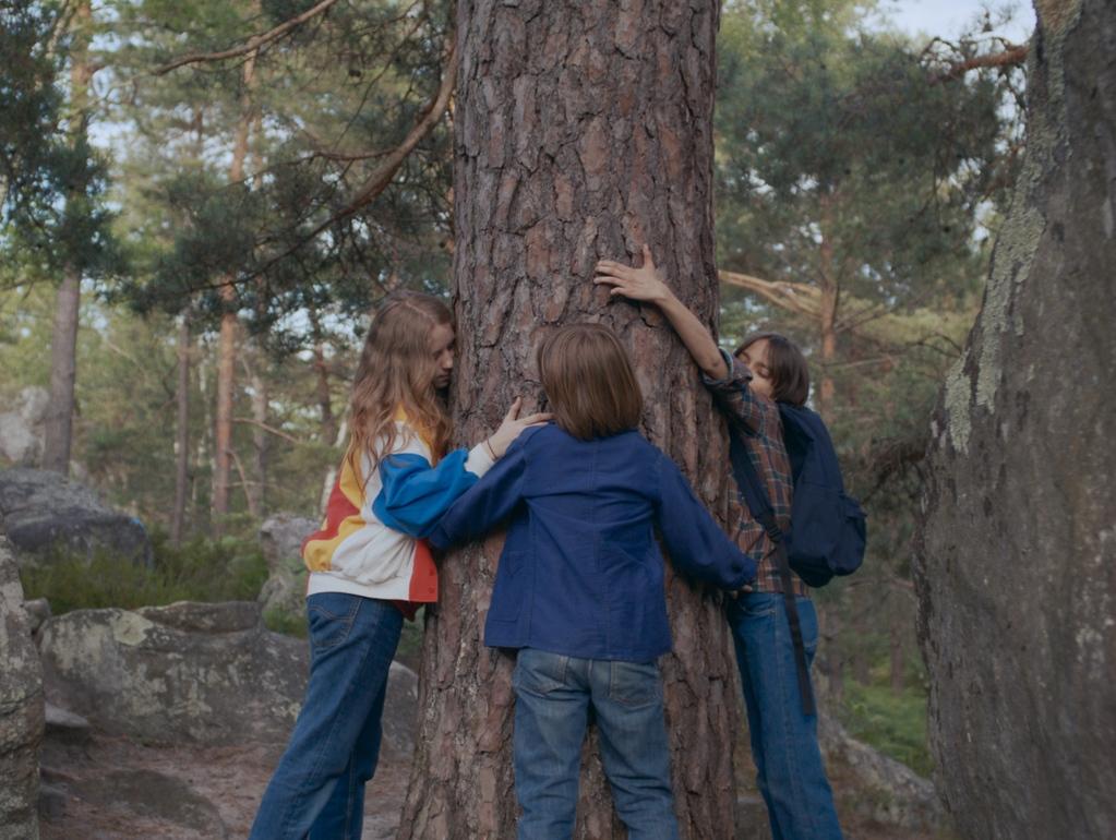 Cosmos Melancolia Cosmos Melancolia