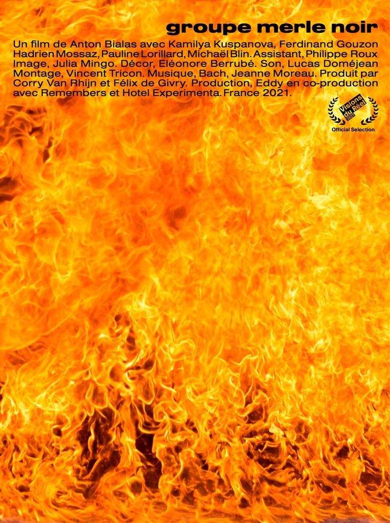 Groupe Merle Noir Groupe Merle Noir