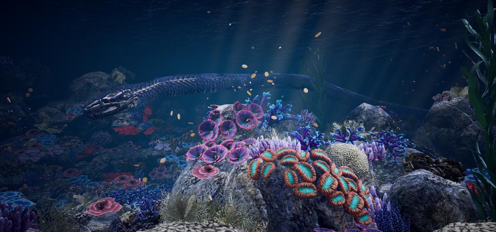 The Starry Sand Beach The Starry Sand Beach